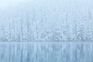 Snow at Joffre Lakes Provincial Park, Pemberton, Canada
