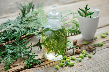 Bottle of Thuja infusion or oil, mortar and Thuja cones. Herbal medicine.