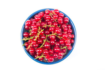 Fresh currant on plate on Isolated white background. Berries