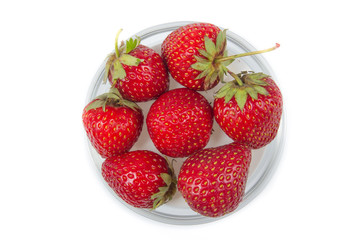 Fresh strawberries on plate on Isolated white background. Top view. Berries