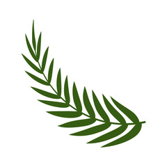 Isolated leaf design vector illustration