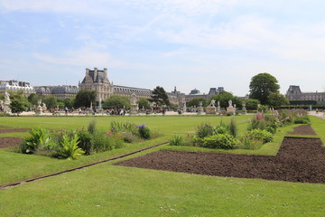 Fototapeta na wymiar Pelouse du jardin des Tuileries à Paris