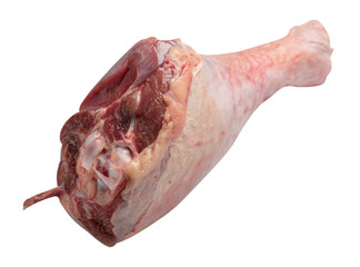Raw, fresh turkey shin, drumstick, isolated on white background