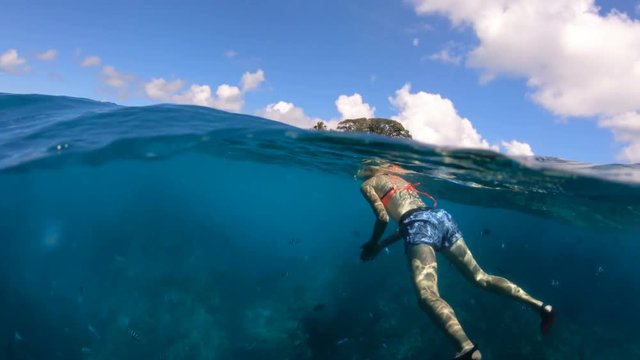 Split view of snorkel woman underwater Cocos Island, Seychelles. Female in apnea sealife under and above Indian Ocean. Tropical destination holiday concept. Travel lifestyle watersport activity.