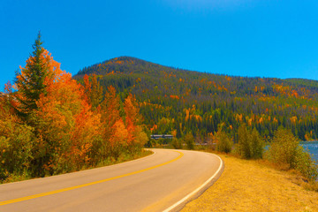 Fall Roads