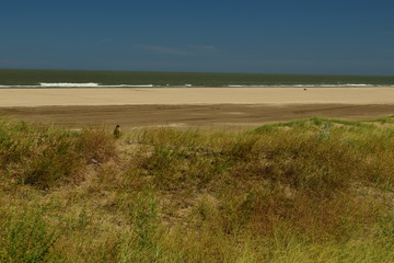 dunas, playas y mar 