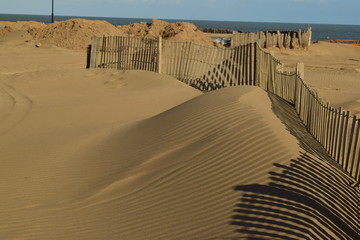 dunas de arena en la playa