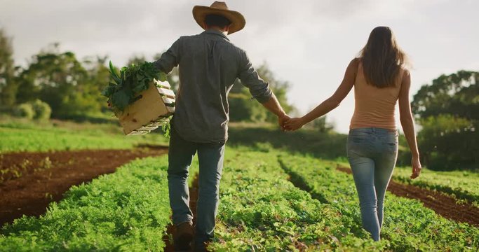 Young farming couple holding hands together on their organic farm, growing organic food for a happy future