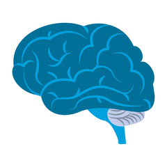 brain size view icon cartoon