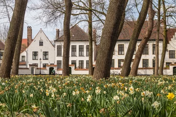 Fotobehang Brugge, België - 05 APRIL 2019: Narcissen in de tuin van het Begijnhof in Brugge © barkstudio
