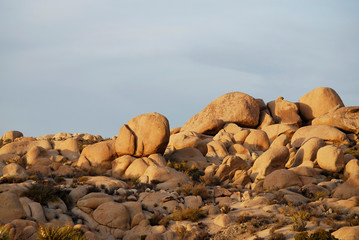 Rock formations in Joshua tree National Park - 271523489
