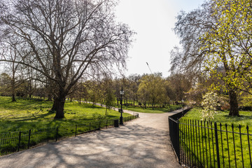 Fototapeta na wymiar Hyde Park in London, England