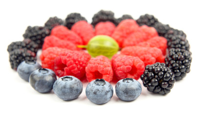 different berries in a circle on a white background