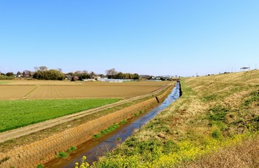 風景　田舎　春　渡良瀬　川　空　杤木　