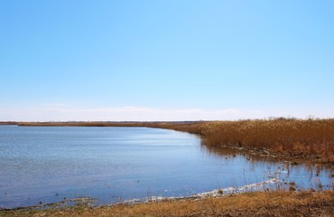 風景　春　渡良瀬　空　湖　栃木