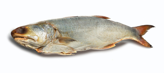 salted fishes on white background