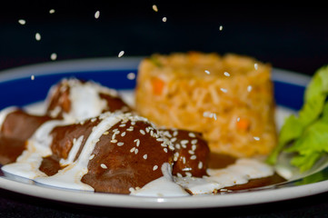 Mole sauce and chicken, Mexican food with sesame seeds