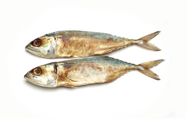 salted fishes on white background