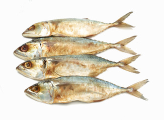 salted fishes on white background