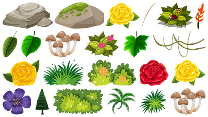 Set of ornamental plants