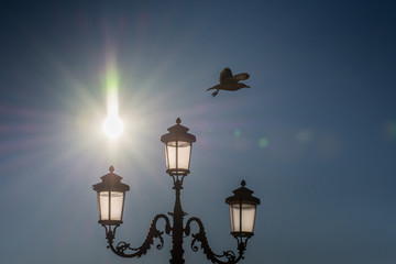 Fototapeta na wymiar Italy Street lamp ,lamppost in Venice, Italia,march, 2019