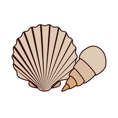 cute seashell on the sea in white background