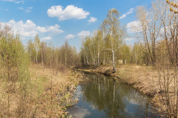Little river among trees in spring