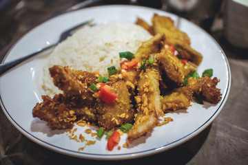 Pork belly fried with pepper, chilli and garlic on stream jasmine rice for lunch or dinner, traditional Chinese and Thai food, street food