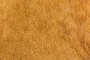  Tiled cowhide material, macro close up
