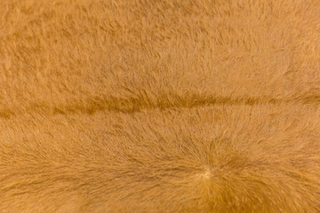  Tiled cowhide material, macro close up