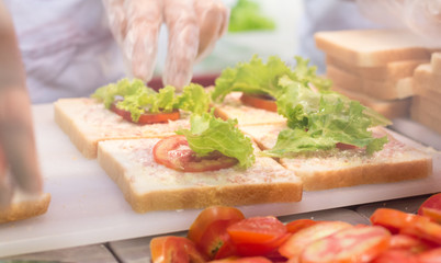 women Making a sandwich in the kitchen