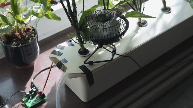 Closeup of fully automated hydroponic growing of Carolina Reaper. Focusing on the fan and the chip that runs the farm.