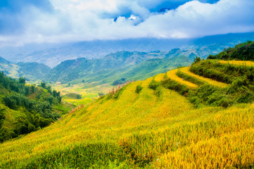 Fototapeta na wymiar Rice fields on terraced of Mu Cang Chai, YenBai, Vietnam. Vietnam landscapes.