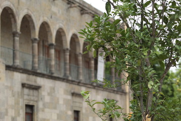 Fototapeta na wymiar Edificio colonial en centro de Guadajara