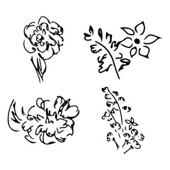 Abstract peonies and roses isolated on white background. Hand drawn floral collection. 4 floral graphic elements. Big vector set. Outline icons