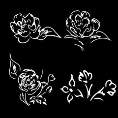 Abstract peonies and roses isolated on black background. Hand drawn floral collection. 4 floral graphic elements. Big vector set. Outline icons