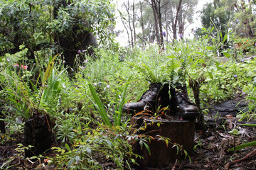 Overgrown Garden with Boots