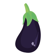 eggplant fresh vegetables icon vector ilustrate