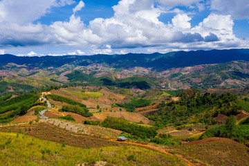 Naklejka premium Aerial view of forest destroyed by agriculture of shifting cultivation on mountains.