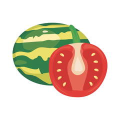 tomato watermelon fresh food icon vector ilustrate