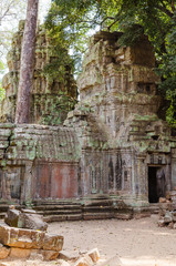 Naklejka premium Ta Prohm Temple is The One Attractive Temple In Angkor Thom Area at Siem Reap Province, Cambodia.