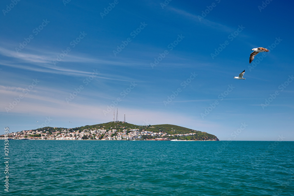 Wall mural Island, sea and seagulls. Kialiada Princes' Islands (Adalar) in the Sea of Marmara. Istanbul.