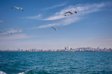 Fototapeta na wymiar Sea and seagulls. Bosphorus, Sea of Marmara. Istanbul.