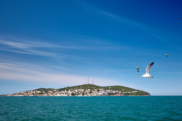 Fototapeta na wymiar Island, sea and seagulls. Kialiada Princes' Islands (Adalar) in the Sea of Marmara. Istanbul.