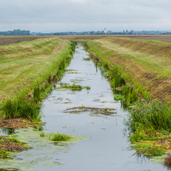 Canal for irregation porlly maintenance. Seeing two green banks. In Croatia, lower Medimurje.