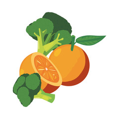 orange broccoli fresh food icon vector ilustrate