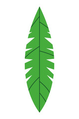 Tropical palm leaf nature cartoon