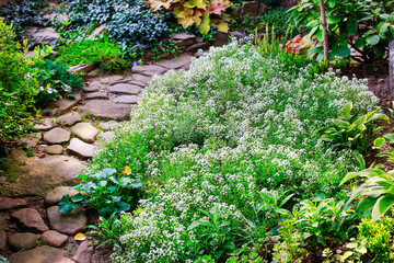 Beautiful garden in spring.