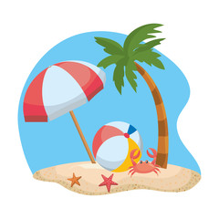 Palm tree of summer season design