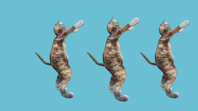 Cool and Fun Pet Dancing Hip Hop Style. Crazy Kitty Moves to Music Wave. The Concept of Modern Animated Styling with Animals. Minimal Motion Collage art. Pussycat Mad Trend. Relax and Move to the Beat